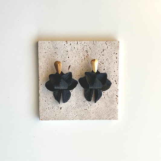 Lotus Pretos