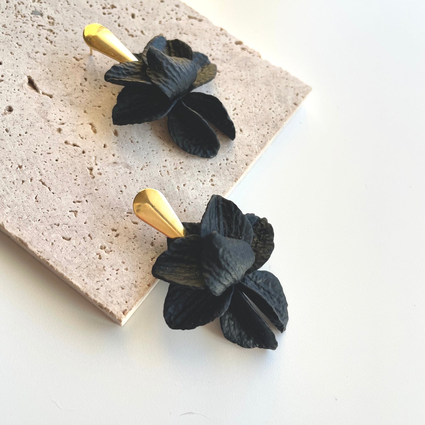 Lotus Pretos